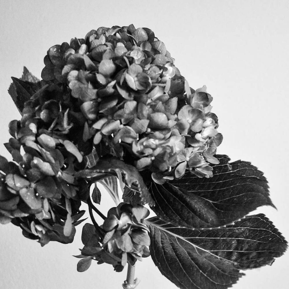 Meet your Posher, Kaori